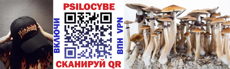 ОМГ ОМГ   Жердевка  Галлюциногенные грибы Psilocybine cubensis 